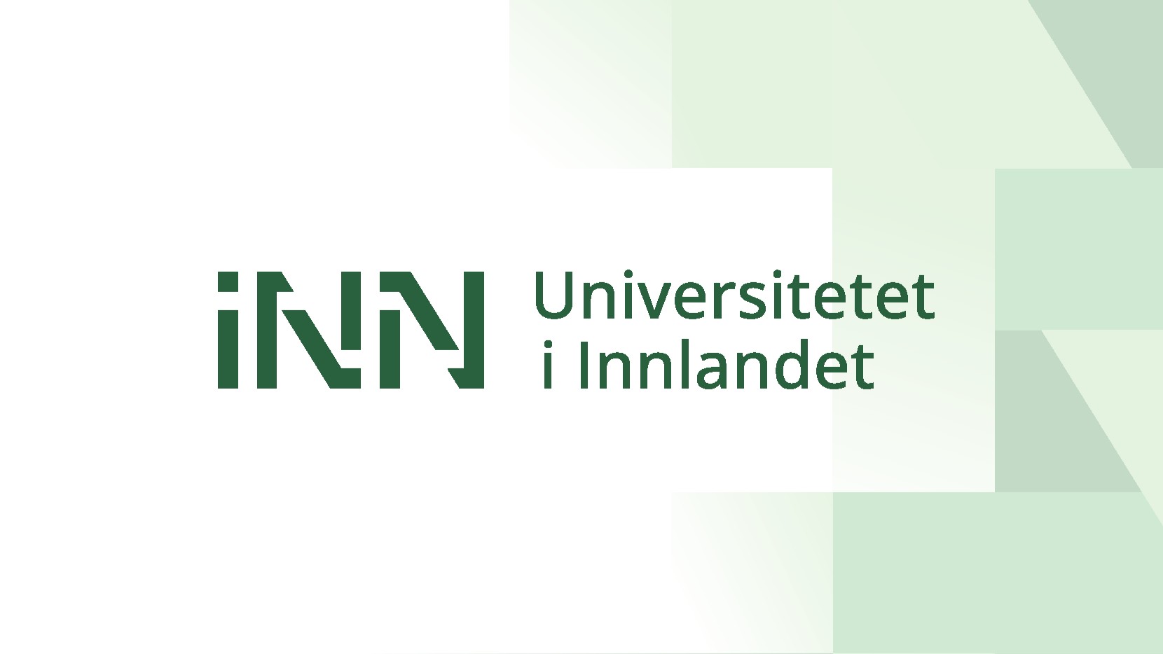 Logo INN